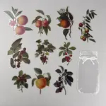 11Pcs 11 Styles PET Waterproof Stickers