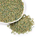 Picasso Glass Seed Beads
