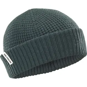 Salomon DOCKER BEANIE green gables Čepice