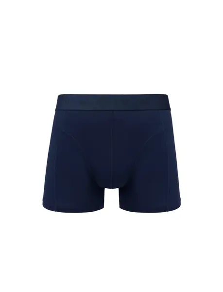 Pánske boxerky Roots Blue