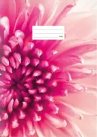 Školní sešit LUX A4 440