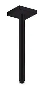 Axor Sprchový program - Sprchové rameno stropní, 30 cm, matná černá 26438670
