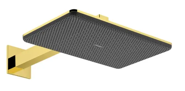 Hansgrohe Raindance Alive Q - Hlavová sprcha, 21x34 cm, 2 prúdy, EcoSmart, leštený vzhľad zlata 24551990