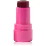 Technic Cosmetics Jelly Tint tvářenka v tyčince na rty a tváře odstín Pink Burst 9 g