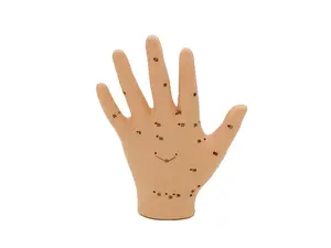 Hwato Akupunkturní model ruky, 13 cm