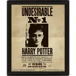 3D obraz Harry Potter - Sirius