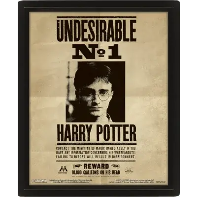 3D obraz Harry Potter - Sirius