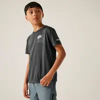 Dětské funkční tričko regatta alvarado ix šedá 122-128