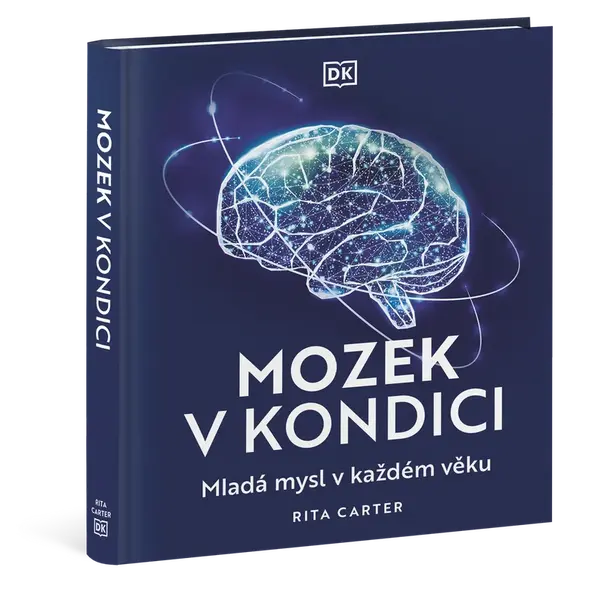 Mozek v kondici