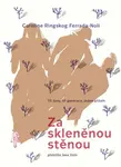 Za skleněnou stěnou - Caroline Ringskog Ferrada-Noli - e-kniha