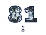 81: The Inside Story of Our Iconic Fa Cup Victory - Julie Welch, Steve Perryman