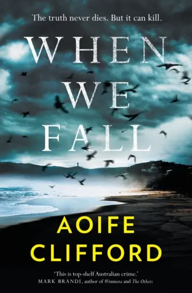 When We Fall - Aoife Clifford