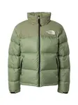 THE NORTH FACE Zimná bunda '1996 Retro Nuptse'  zelená / biela