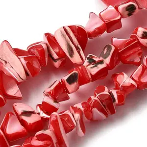 Natural Trochid Shell/Trochus Shell Beads Strands