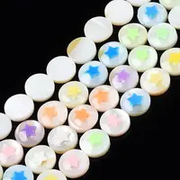 Natural Freshwater Shell Enamel Beads