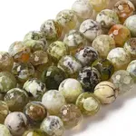 Dyed & Heated Natural Fire Crackle Agate Beads Strands