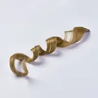 Fashion Women's Hair Accessories