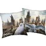 Dekoratívny vankúšik harry potter