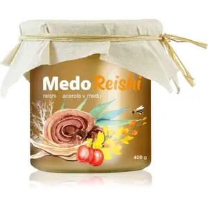 MycoMedica MedoReishi reishi+acerola v medu květový med s extrakty z vitálních hub 400 g