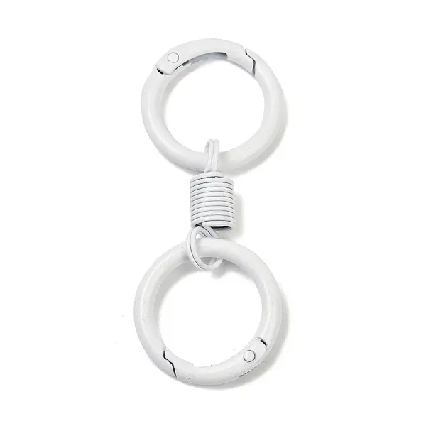 Alloy Spring Gate Clasps