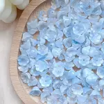 Lampwork Beads