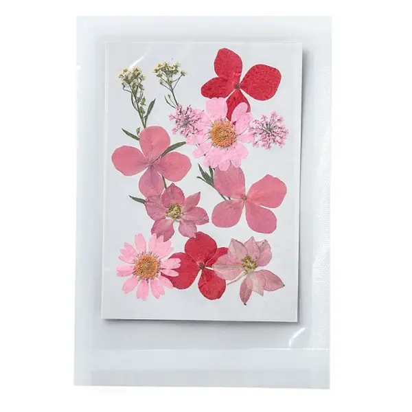 Pressed Dried Flowers
