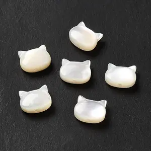 Natural White Shell Beads