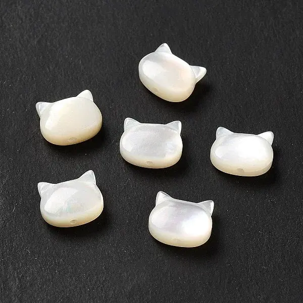 Natural White Shell Beads