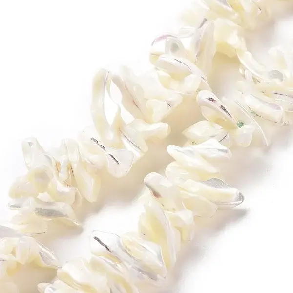 Natural Trochid Shell Beads Strands