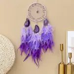 Iron Woven Web/Net with Feather Hanging Ornaments