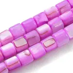 Natural Freshwater Shell Beads Strands
