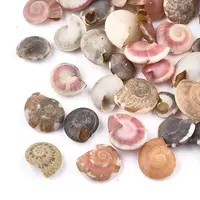Spiral Shell Beads