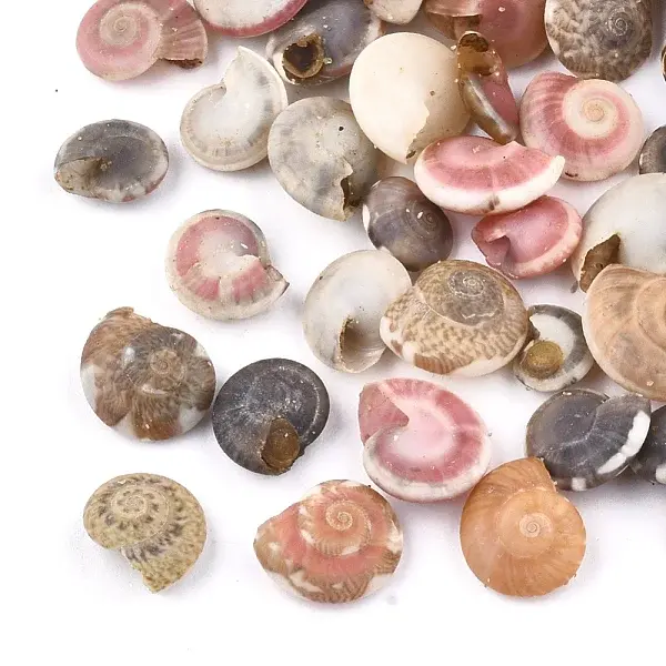 Spiral Shell Beads