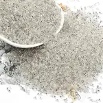 Electroplate Glass Seed Beads