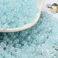 Ceylon Glass Seed Beads