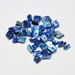 Dyed Natural Freshwater Shell Chips Beads