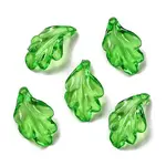 Transparent Acrylic Pendant