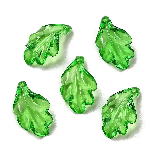 Transparent Acrylic Pendant