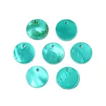 Spray Painted Natural Freshwater Shell Flat Round Charms