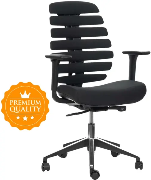 MERCURY Ergonomická kancelářská židle FISH BONES černý plast, 26-60 černá, 3D područky, sezení  8+ hodin denně