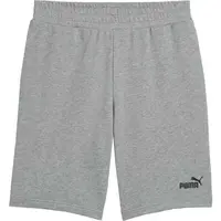 Puma ESSENTIALS NO. 1 SHORTS 10 Pánské volnočasové šortky, šedá, velikost