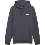 Puma ESSENTIALS+2 COL SMALL LOGO HOODIE Pánská mikina, tmavě šedá, velikost