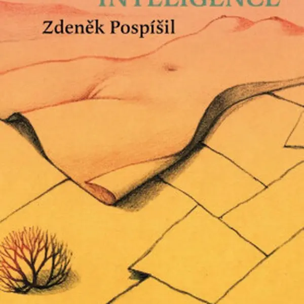 Člověk a umělá inteligence - Zdeněk Pospíšil
