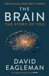The Brain - David Eagleman