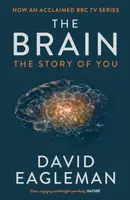 The Brain - David Eagleman