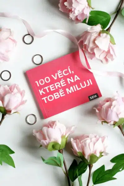100 věcí, které na tobě miluji