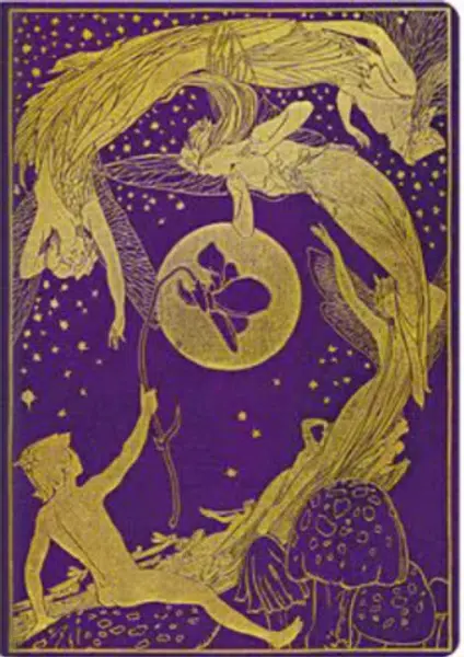 Sešit Paperblanks - Violet Fairy A5, čistý