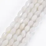 Natural Freshwater Shell Beads Strands