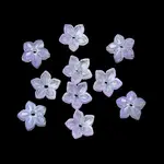 Dyed & Heated Glass Bead Caps