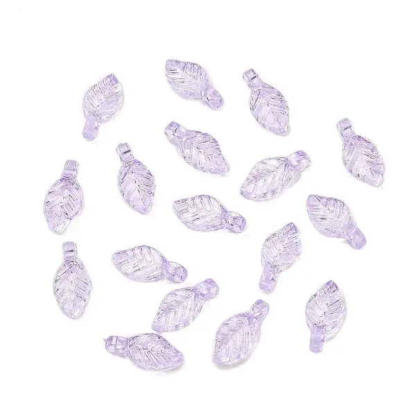 Transparent Acrylic Charms